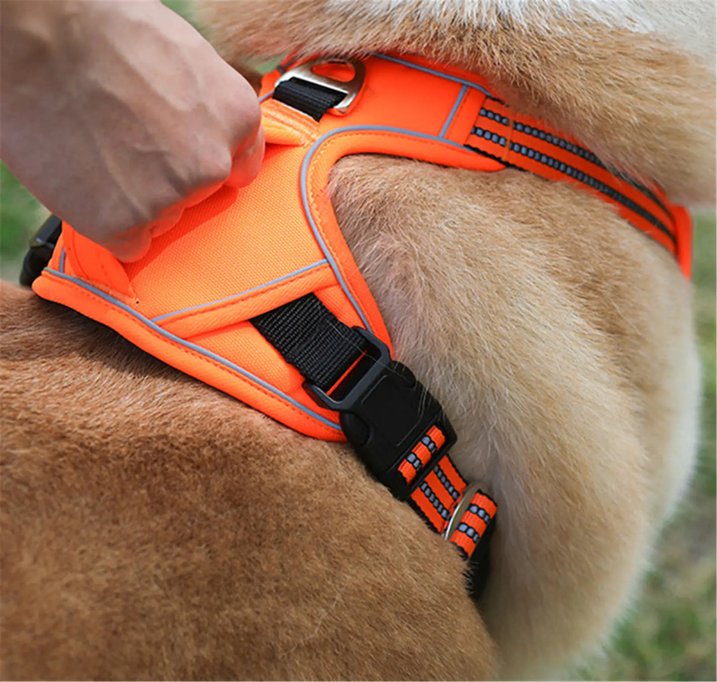 Tailup Waterproof Reflective Harness