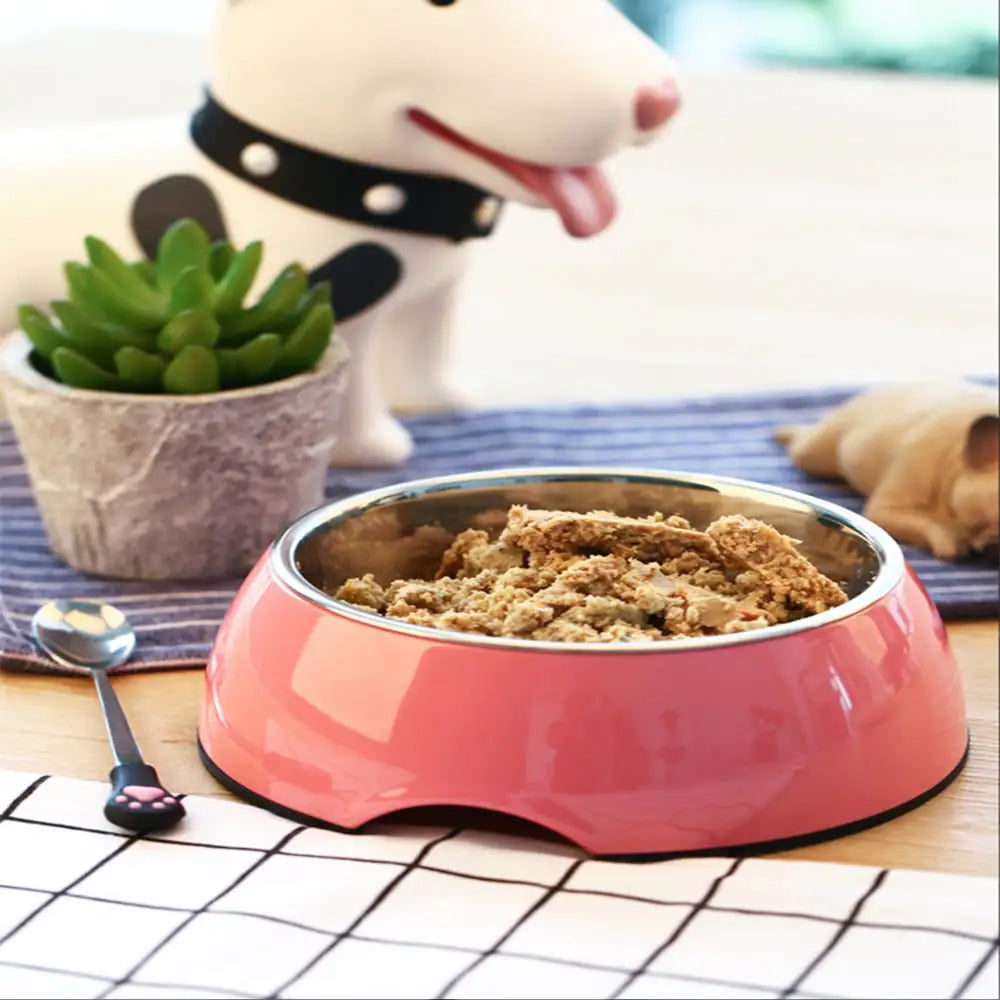 Large Stainless Steel Dog and Cat Food Bowls